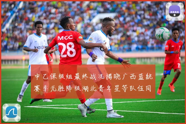 中乙保级组最终战况揭晓广西蓝航赛季无胜降级湖北青年星等队伍同遭降级